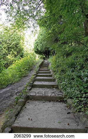 Stone Staircase Surrounded By Greenery, Canada, Ontario, Dundas View Large Photo Image Stock Photo - Stone Staircase Surrounded By Greenery, Canada, Ontario, Dundas. Fotosearch