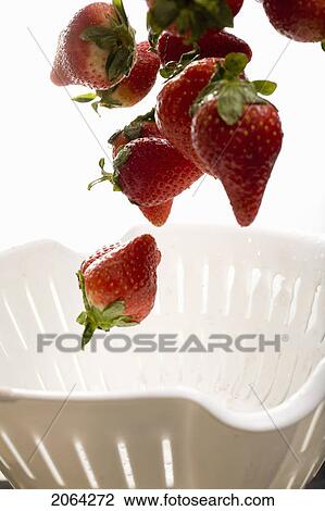 Strawberries Falling Into Colander View Large Photo Image Stock Image - Strawberries Falling Into Colander. Fotosearch