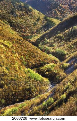 Stream Winds Through Highlands. Cape Breton Highlands National Park. View Large Photo Image Stock Photograph - Stream Winds Through Highlands. Cape Breton Highlands National Park.. Fotosearch