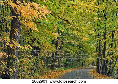 Stock Image - Sulphur Spring Road - Pelham, Ontario, Canada. Fotosearch