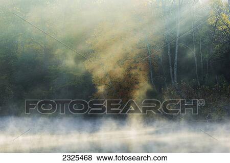Sun rays shining through the trees and mist rising up from the water; Ohio united states of america View Large Photo Image Stock Photo - Sun rays shining through the trees and mist rising up from the water; Ohio united states of america. Fotosearch