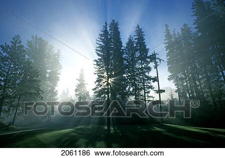 Sunburst, Whistler, Bc, Canada View Large Photo Image Stock Photograph - Sunburst, Whistler, Bc, Canada. Fotosearch