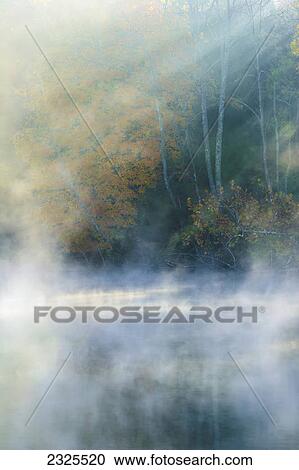 Sunlight streaming across the autumn coloured trees onto a misty lake; Mt orab ohio united states of america View Large Photo Image Stock Image - Sunlight streaming across the autumn coloured trees onto a misty lake; Mt orab ohio united states of america. Fotosearch