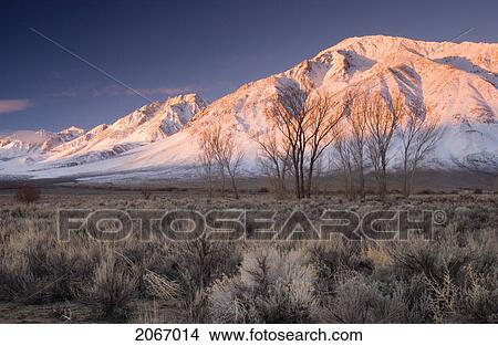 Sunrise On A Snowcapped Peak In The California Desert, Bishop, California, Usa View Large Photo Image Picture - Sunrise On A Snowcapped Peak In The California Desert, Bishop, California, Usa. Fotosearch
