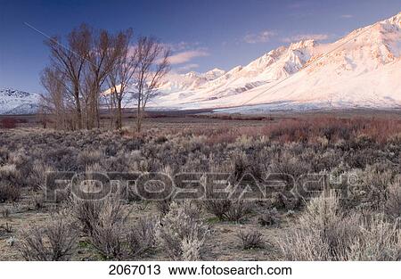 Stock Image - Sunrise On A Snowcapped Peak In The California Desert, Bishop, California, Usa. Fotosearch