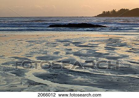 Sunset, Chesterman Beach, Tofino, Vancouver Island, Bc View Large Photo Image Stock Image - Sunset, Chesterman Beach, Tofino, Vancouver Island, Bc. Fotosearch