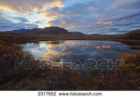 Stock Image - Sunset Clouds Reflected In A Small Pond In The Peel Watershed Along The Dempster Highway; Yukon Canada. Fotosearch
