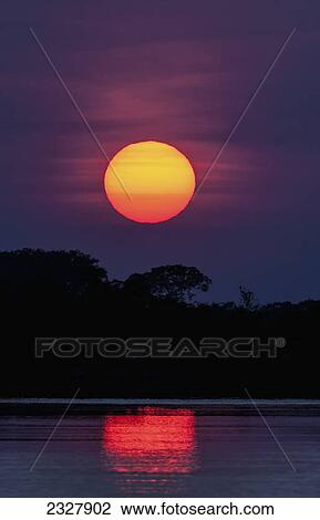 Sunset over the cuiba river; Pantanal brazil View Large Photo Image Stock Image - Sunset over the cuiba river; Pantanal brazil. Fotosearch