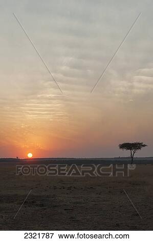 Sunset Over The Landscape In The Maasai Mara National Reserve; Maasai Mara Kenya View Large Photo Image Stock Photo - Sunset Over The Landscape In The Maasai Mara National Reserve; Maasai Mara Kenya. Fotosearch