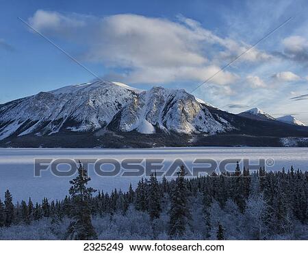 Tagish lake seen from the south klondike highway in southern yukon; Yukon canada View Large Photo Image Stock Photo - Tagish lake seen from the south klondike highway in southern yukon; Yukon canada. Fotosearch