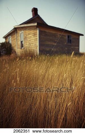 Tall Prairie Grass By Abandoned Building In Ghost Town Of Robsart, Saskatchewan, Canada View Large Photo Image Stock Image - Tall Prairie Grass By Abandoned Building In Ghost Town Of Robsart, Saskatchewan, Canada. Fotosearch
