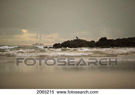 Tamarindo, Cook Islands View Large Photo Image Stock Photography - Tamarindo, Cook Islands. Fotosearch
