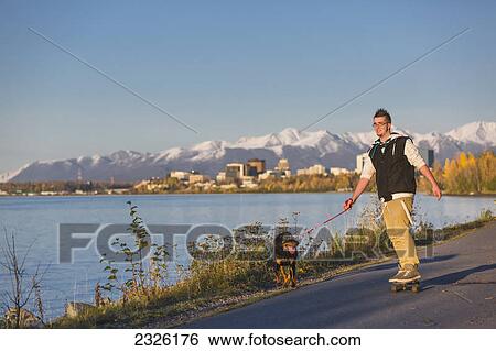 Stock Photograph - Teenage boy riding his skateboard while being pulled by his rottweiler dog on the tony knowles coastal trail at sunset; Anchorage alaska united states of america. Fotosearch
