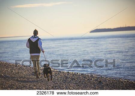 Teenage boy running with his rottweiler dog on the beach at point wornzof cook inlet and fire island in the background at sunset; Anchorage alaska united states of america View Large Photo Image Stock Photo - Teenage boy running with his rottweiler dog on the beach at point wornzof cook inlet and fire island in the background at sunset; Anchorage alaska united states of america. Fotosearch