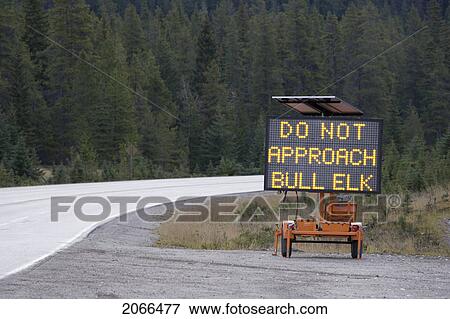 Stock Photo - Temporary Warning Sign Posted Along Highway During Elk Rutting Season, Jasper National Park, Alberta, Canada.. Fotosearch