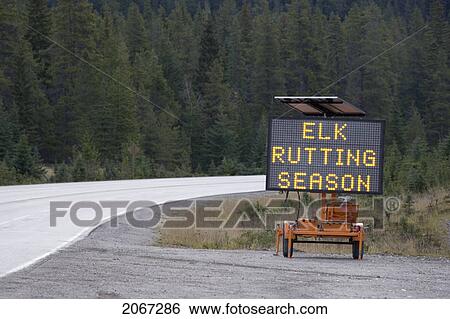Stock Photograph - Temporary Warning Sign Posted Along Highway During Elk Rutting Season, Jasper National Park, Alberta, Canada.. Fotosearch