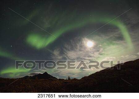 The Aurora Borealis Or Northern Lights Above The Dempster Highway With A Full Moon In The Sky; Yukon Canada View Large Photo Image Stock Image - The Aurora Borealis Or Northern Lights Above The Dempster Highway With A Full Moon In The Sky; Yukon Canada. Fotosearch