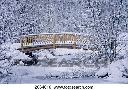 Stock Photo - The Bridge Of Sighs, At Rainbow Park, Whistler, Bc In Early Winter. Fotosearch