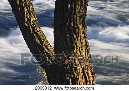 The Niagara River - Niagara Falls State Park - Niagara Falls New York Usa View Large Photo Image Stock Image - The Niagara River - Niagara Falls State Park - Niagara Falls New York Usa. Fotosearch