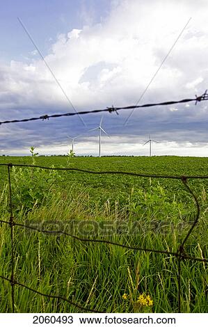 Stock Image - Three Wind Turbines In Field Behind Wire Fence, Tiverton, Bruce Peninsula, Ontario. Fotosearch