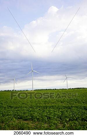 Stock Image - Three Wind Turbines In Field, Tiverton, Bruce Peninsula, Ontario. Fotosearch