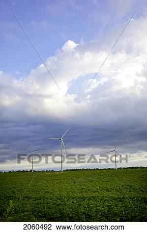 Stock Image - Three Wind Turbines In Field, Tiverton, Bruce Peninsula, Ontario. Fotosearch