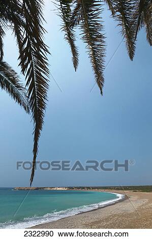Tree branches framing the beach along the coast with blue sky; Akamas peninsula cyprus View Large Photo Image Stock Image - Tree branches framing the beach along the coast with blue sky; Akamas peninsula cyprus. Fotosearch