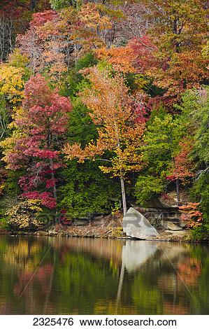Stock Photograph - Trees in autumn colours reflected in a lake; Ohio united states of america. Fotosearch