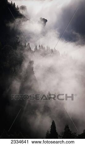 Trees on a hillside covered in cloud; Gangtok, Sikkim, India View Large Photo Image Stock Image - Trees on a hillside covered in cloud; Gangtok, Sikkim, India. Fotosearch