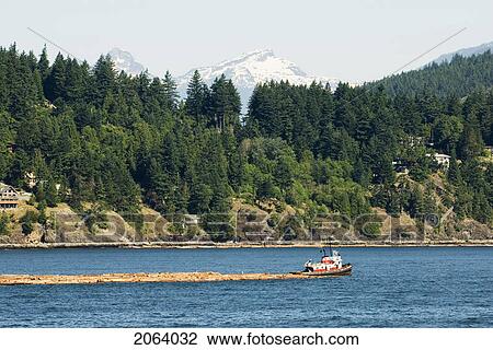 Tug Boat Pulling Logs Through The Ocean With Mountains In The Background, Howe Sound, Bc View Large Photo Image Stock Image - Tug Boat Pulling Logs Through The Ocean With Mountains In The Background, Howe Sound, Bc. Fotosearch