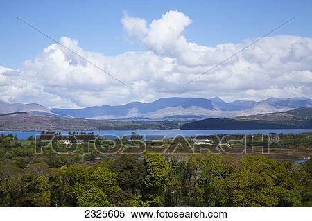 Stock Photography - Tuosist near kenmare with kenmare bay in the background; County kerry ireland. Fotosearch