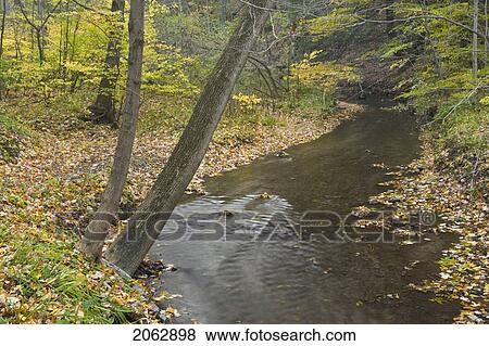 Twelve Mile Creek - Pelham, Ontario, Canada View Large Photo Image Stock Photo - Twelve Mile Creek - Pelham, Ontario, Canada. Fotosearch