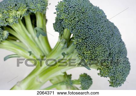Stock Image - Two Bunches Of Broccoli. Fotosearch