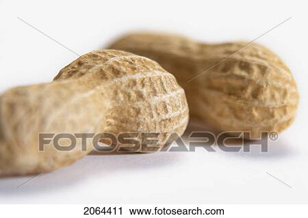 Stock Image - Two Peanuts On A White Background. Fotosearch