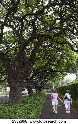 Two women walking along pathway; Waikiki oahu hawaii united states of america View Large Photo Image Stock Photo - Two women walking along pathway; Waikiki oahu hawaii united states of america. Fotosearch