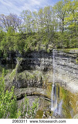 Stock Image - View Of A Waterfall From The Top Of The Escarpment, Canada, Ontario, Dundas. Fotosearch