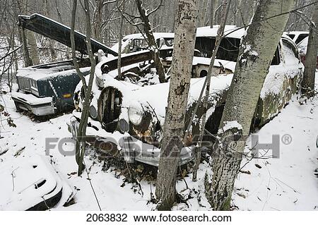 Stock Image - View Of Automobile In Junkyard. Montérégie Region, Quebec. Fotosearch