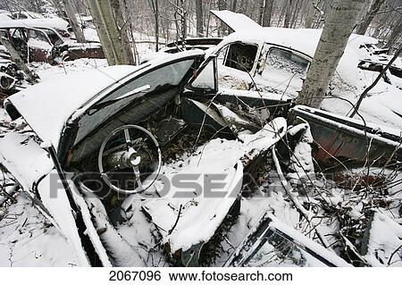 Stock Photograph - View Of Automobiles In Junkyard, Montérégie Region, Quebec. Fotosearch