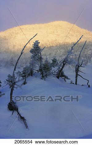 Picture - View Of Landscape At Gagnon Lake, Quebec, Canada. Fotosearch