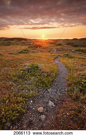 View Of Lookout Trail At Sunset, Gros Morne Np, Newfoundland, Canada View Large Photo Image Stock Image - View Of Lookout Trail At Sunset, Gros Morne Np, Newfoundland, Canada. Fotosearch