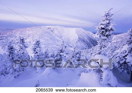 View Of Mont Logan And Snow-Covered Trees At Dawn, Quebec, Canada. View Large Photo Image Stock Photo - View Of Mont Logan And Snow-Covered Trees At Dawn, Quebec, Canada.. Fotosearch