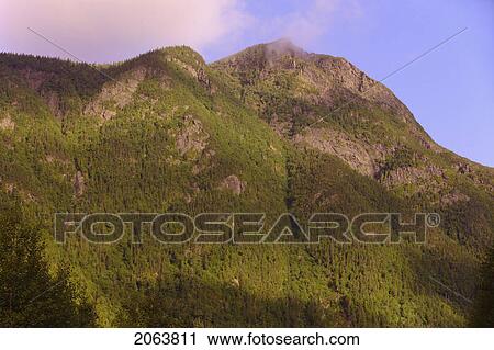 View Of Mont Nicol-Albert, Gaspesie, Quebec View Large Photo Image Stock Image - View Of Mont Nicol-Albert, Gaspesie, Quebec. Fotosearch