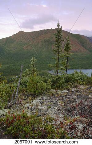 Stock Image - View Of Mount Albert From Mount Olivine, Gaspesie National Park, Quebec. Fotosearch