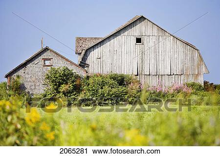 View Of Old Barn, Bas-Saint-Laurent Region, Quebec, Canada View Large Photo Image Stock Image - View Of Old Barn, Bas-Saint-Laurent Region, Quebec, Canada. Fotosearch