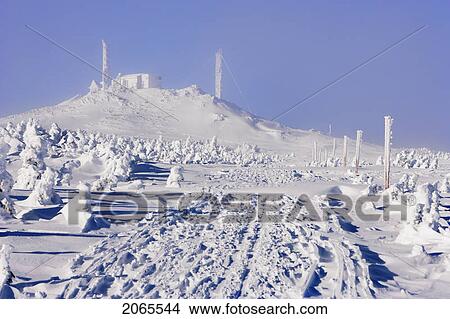 View Of Path And Snow-Covered Trees At Top Of Mont Logan, Quebec, Canada View Large Photo Image Picture - View Of Path And Snow-Covered Trees At Top Of Mont Logan, Quebec, Canada. Fotosearch