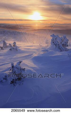 View Of Snow-Covered Trees And Blowing Snow From Mont Logan At Sunrise, Quebec, Canada View Large Photo Image Stock Photo - View Of Snow-Covered Trees And Blowing Snow From Mont Logan At Sunrise, Quebec, Canada. Fotosearch