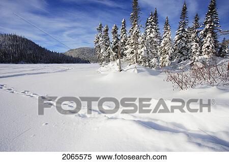 Stock Photography - View Of Thibault Lake, Quebec, Canada. Fotosearch