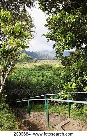 Picture - View of Wailua Valley State Wayside and steps; Maui, Hawaii, United States of America. Fotosearch