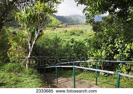 View of Wailua Valley State Wayside and steps; Maui, Hawaii, United States of America View Large Photo Image Stock Photography - View of Wailua Valley State Wayside and steps; Maui, Hawaii, United States of America. Fotosearch