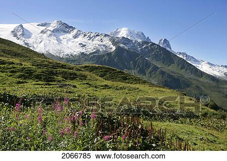 View On Les Drus And La Verte, Col De Balme, Chamonix, France View Large Photo Image Stock Photography - View On Les Drus And La Verte, Col De Balme, Chamonix, France. Fotosearch